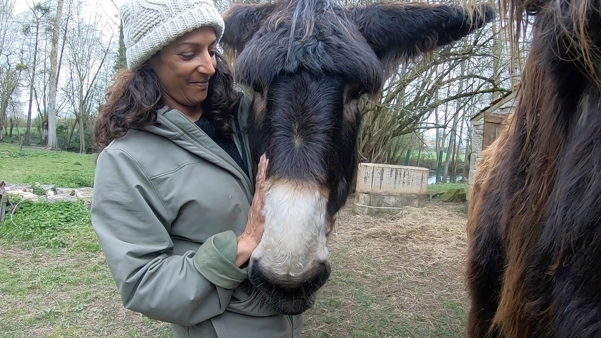tara petting sweet donkey